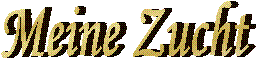 Meine Zucht