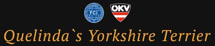 Quelinda`s Yorkshire Terrier Logo